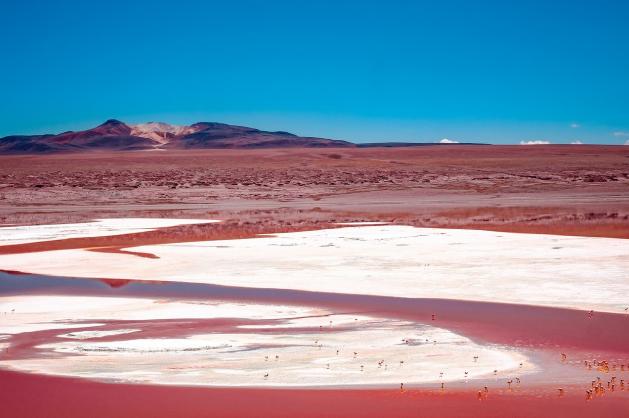 Laguna Colorada