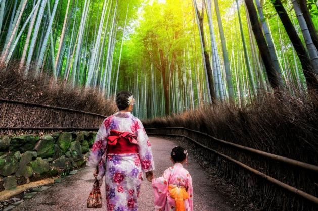 Bambusový les Arashiyama, Japonsko