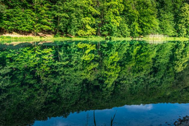 Jezero v parku Papuk