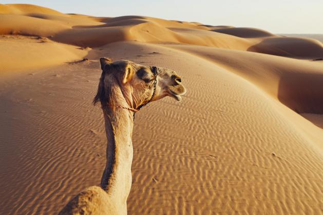 Wahibská poušť v Ománu