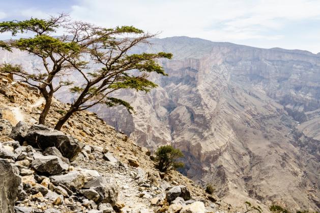Kaňon Wadi Nakhr v Ománu