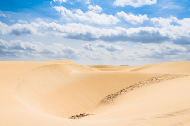 Poušť Viana na Kapverdských ostrovech