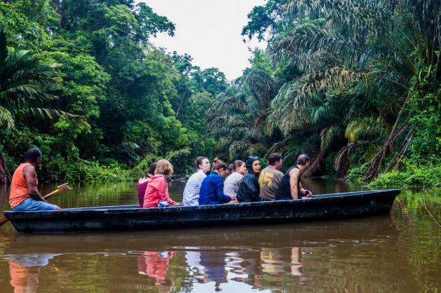 NP Tortuguero