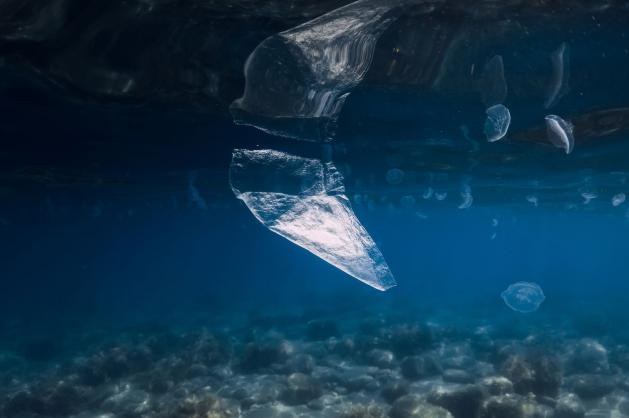 Plasty v oceánu