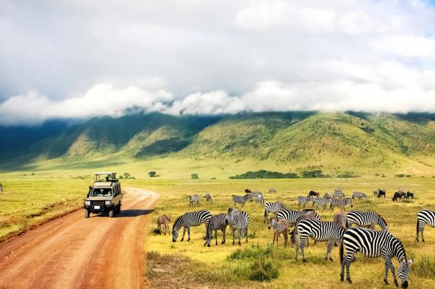 Ngorongoro