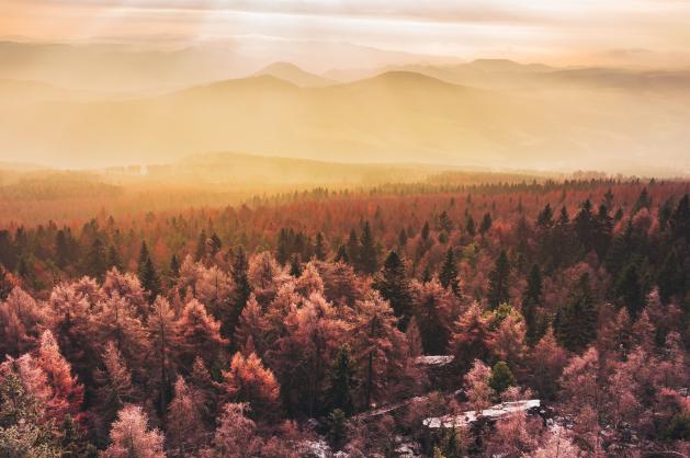 Krajinářská fotografie v zimě