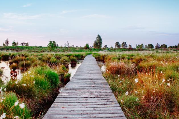 Hautes Fagnes-Eifel