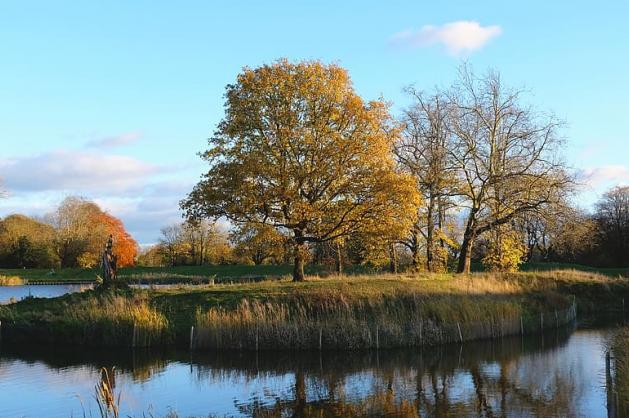 Hampstead Heath