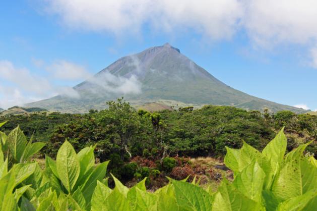 Montanha do Pico