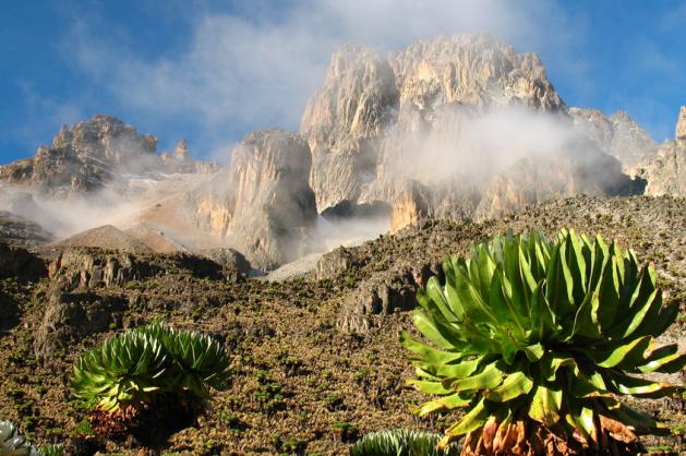 NP Mount Kenya