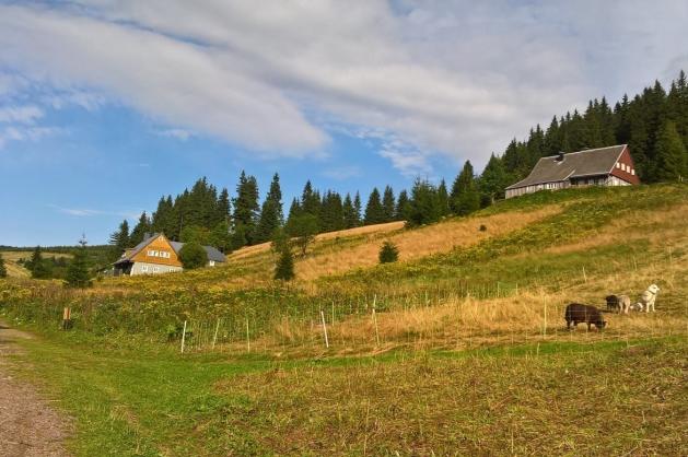 Eliščino údolí