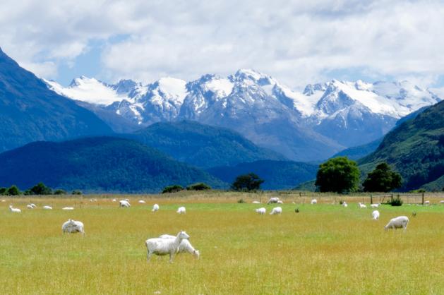 NP Mount Aspiring