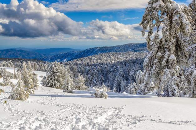 Troodos v zimě