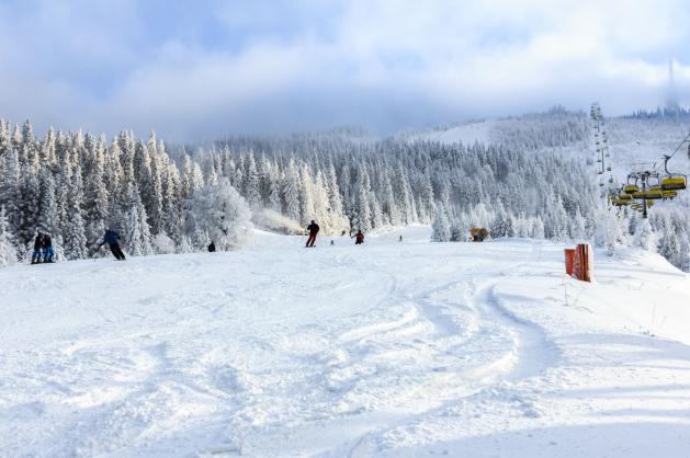 Zimní pohled na zasněžené svahy 