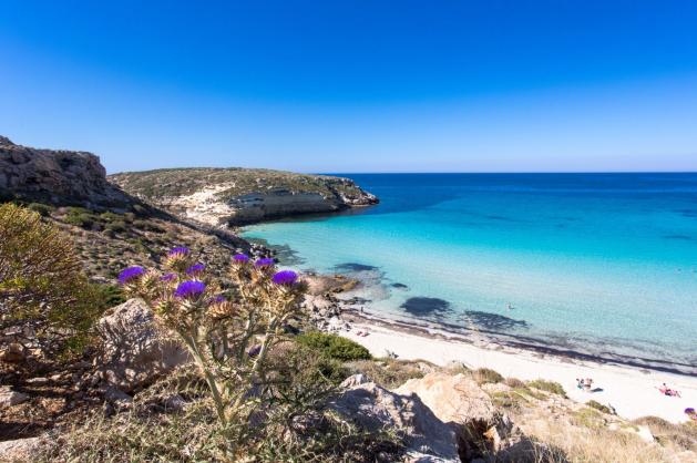 Spiaggia dei Conigli v Itálii