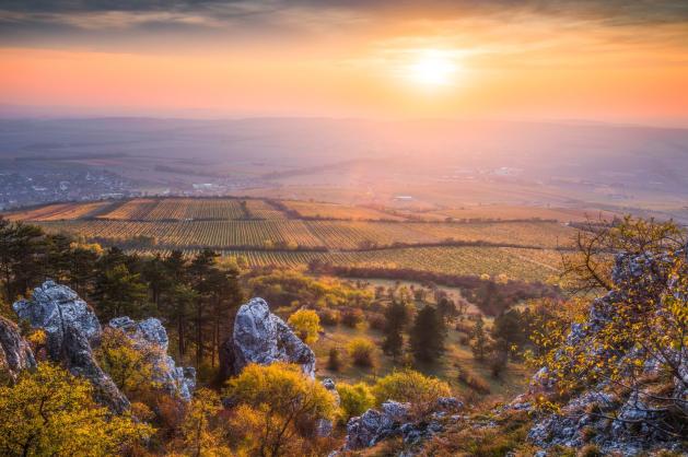 Podzimní krajina s vinicemi, lesy a skalisky při západu slunce