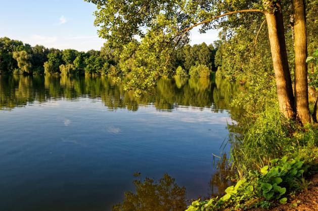 jezero Sadská