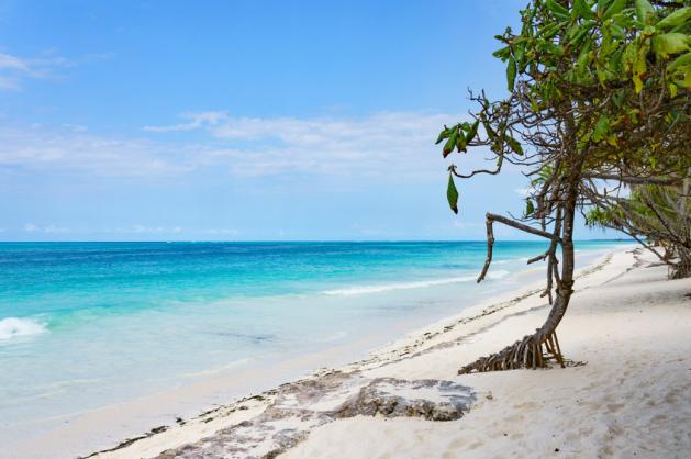 Kiwengwa Zanzibar