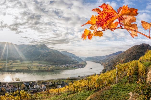 údolí Wachau