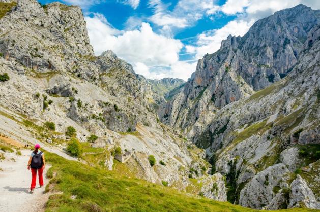 Picos de Europa