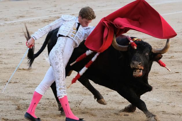 Toreador s rudou muletou stojí proti vyčerpanému býkovi.