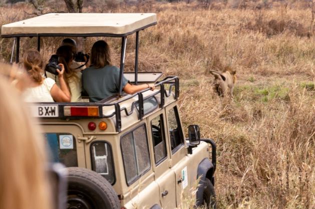 safari Tanzanie