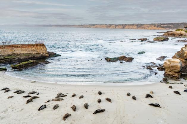 Skalnatá zátoka u Tichého oceánu