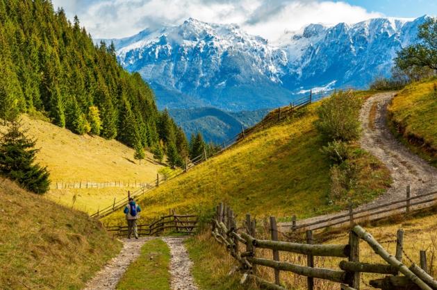 Karpaty