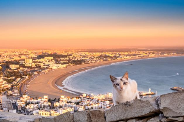 Panoramatický pohled na město Agadir 