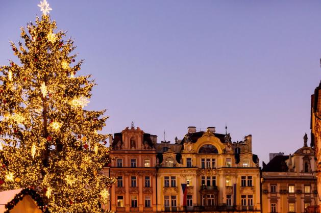 Vánoční strom v Praze