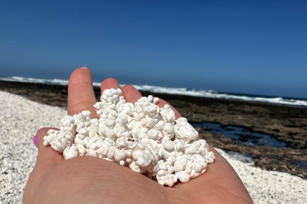 Bílé útvary připomínající popcorn na pláži