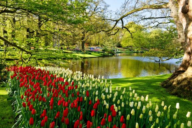 Keukenhof