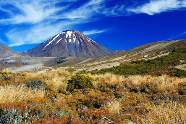 NP Tongariro