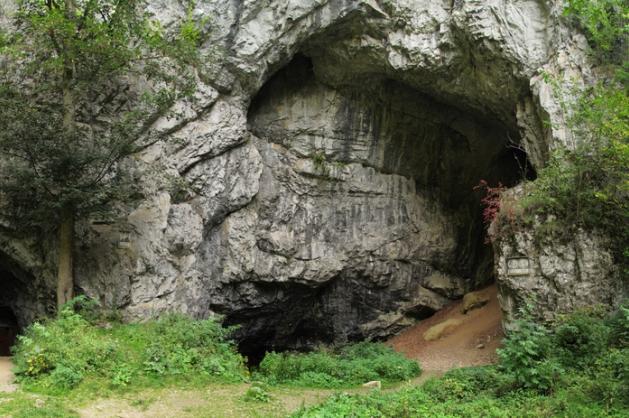 jeskyně Býčí skála