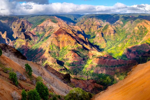 Waimea Canyon