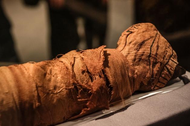 Mumifikované tělo