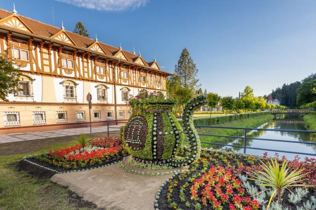 Květinová symbolika vody a péče