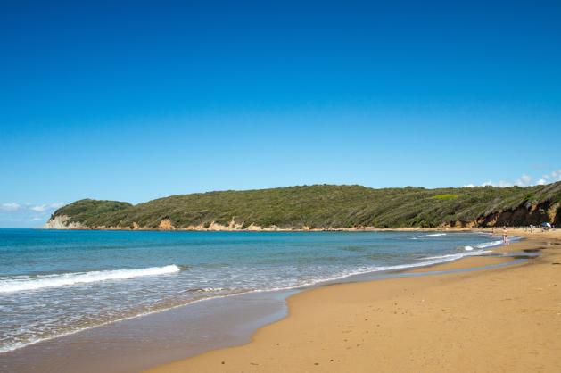 Baratti Beach