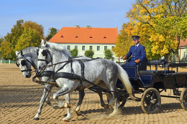 Národní hřebčín