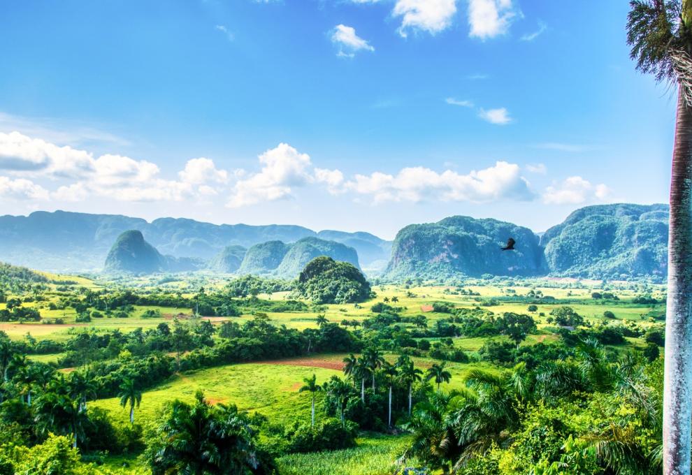 kam za teplem v lednu