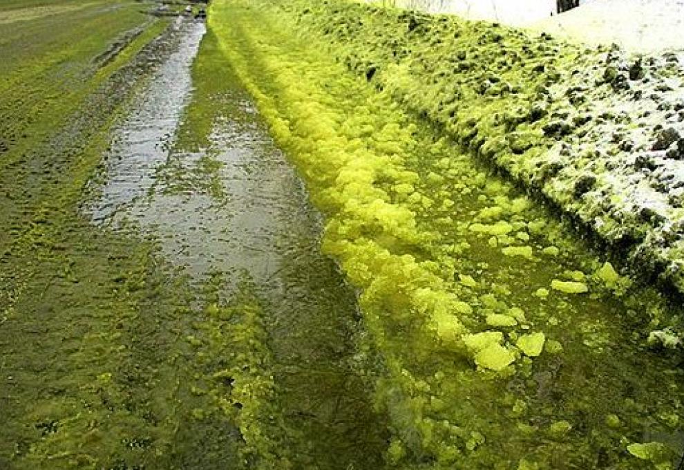 Toxický zelený sníh v ruském městě Pervouralsk - Cestovinky.cz