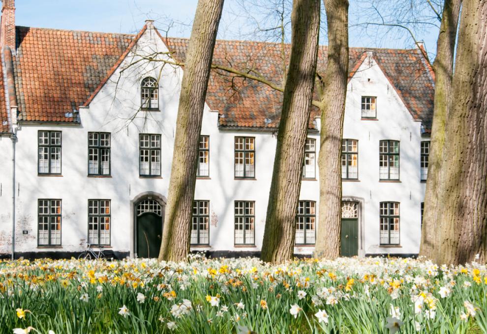 Bruggy 2
