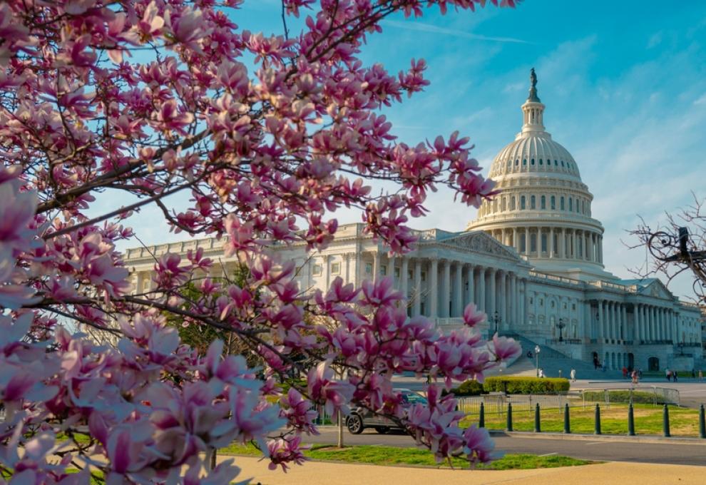 fototest světové metropole 5