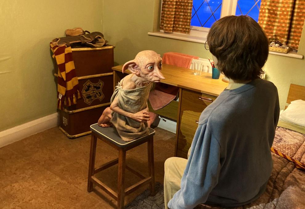 Domácí skřítek Dobby a Harry Potter