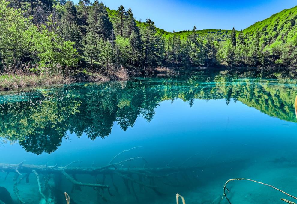 Pohled pod hladinu Plitvických jezer