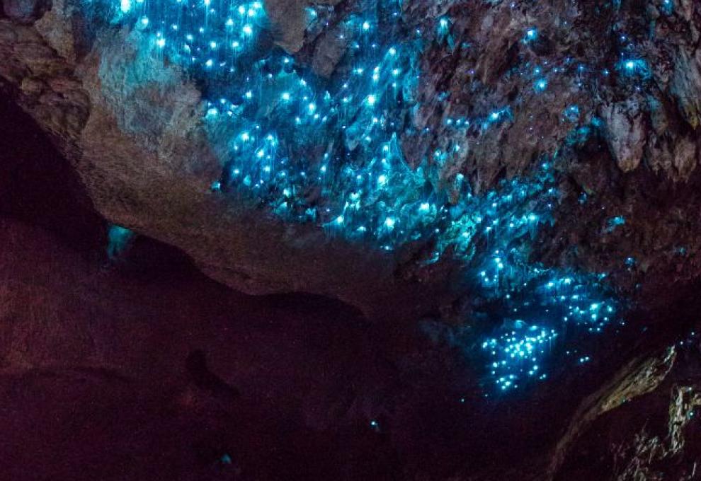 Novozélandská jeskyně Waitomo