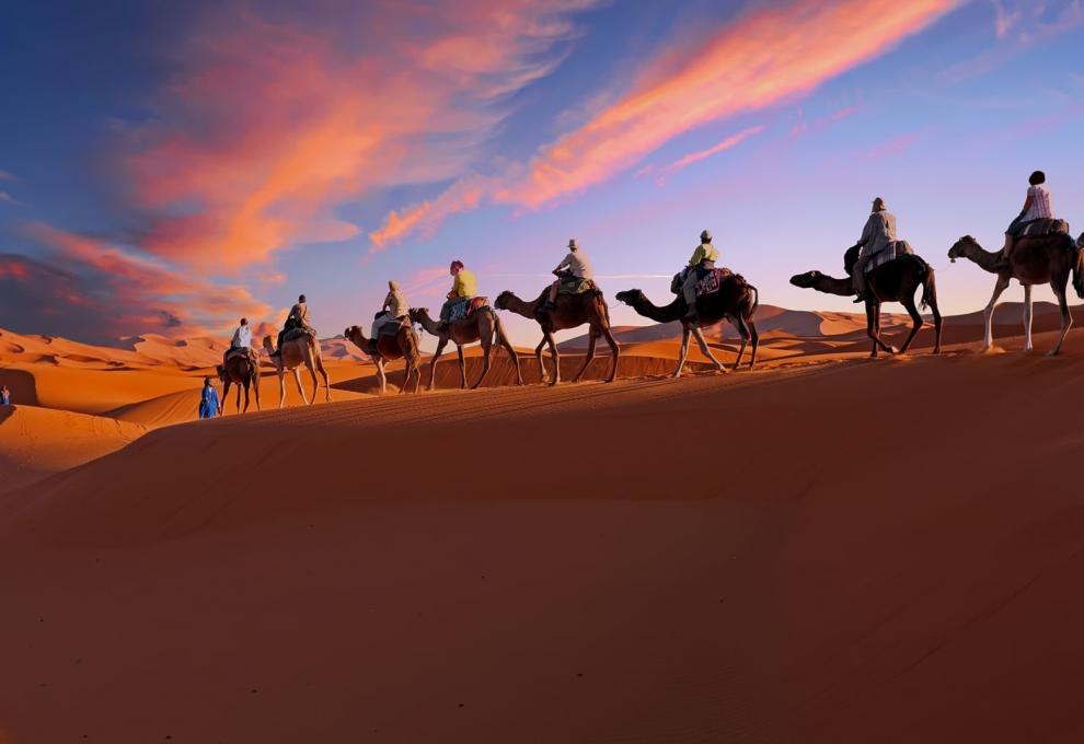 Sahara a velbloudi