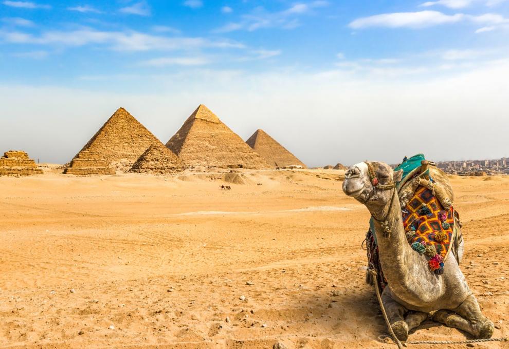Pyramidy a velbloud v Egyptě