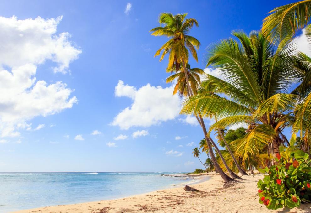 Pláž v Dominikáně