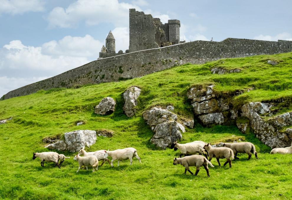 Rock of Cashel Irsko